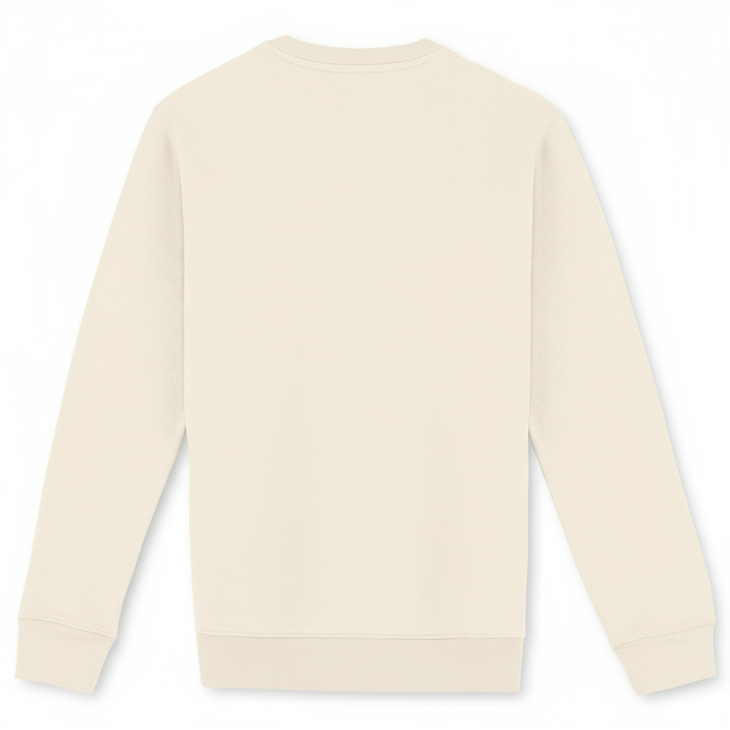 Dos du sweat beige Brisure sans impression